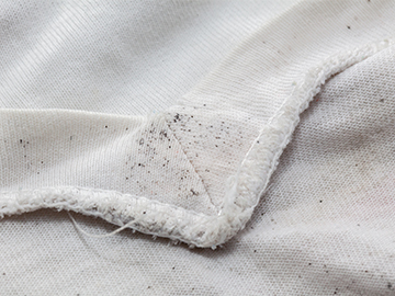 mould on clothes